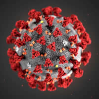 Covid-19 molecule